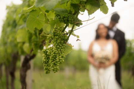 Auckland Wedding Photographer (17)